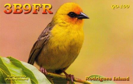 3b9fr6qsl.jpg