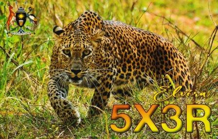 5x3rqsl.jpg