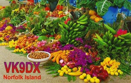 vk9dxqsl.jpg